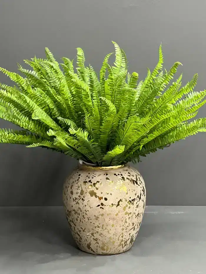 Fern leave – 6089-44