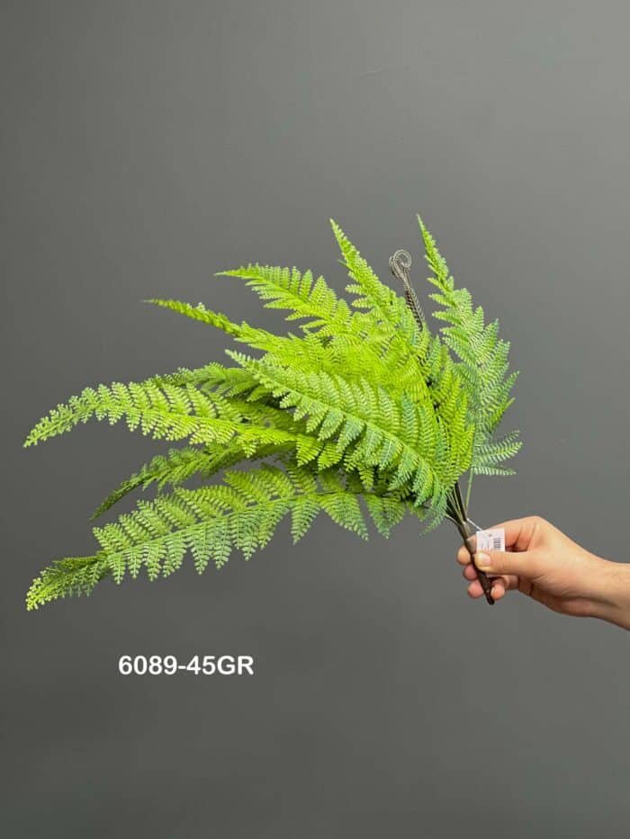 Fern leave – 6089-45