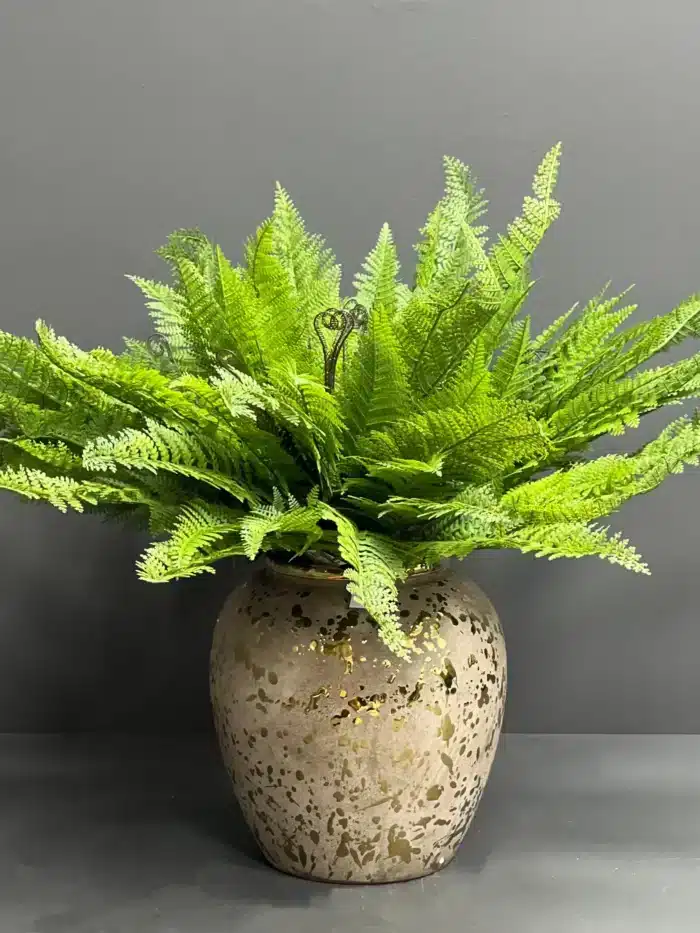 Fern leave – 6089-45