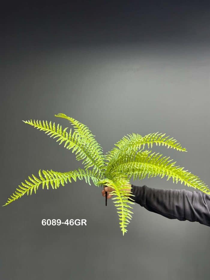 Fern leave – 6089-46
