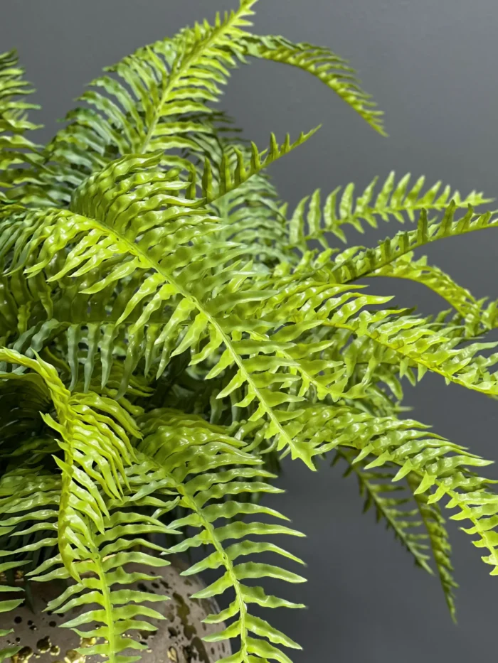Fern leave – 6089-46