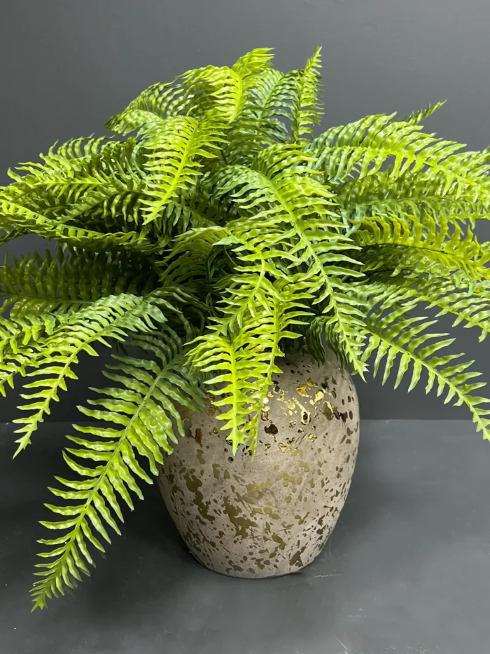 Fern leave – 6089-46