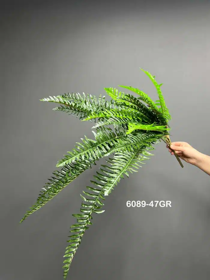 Fern leave – 6089-47