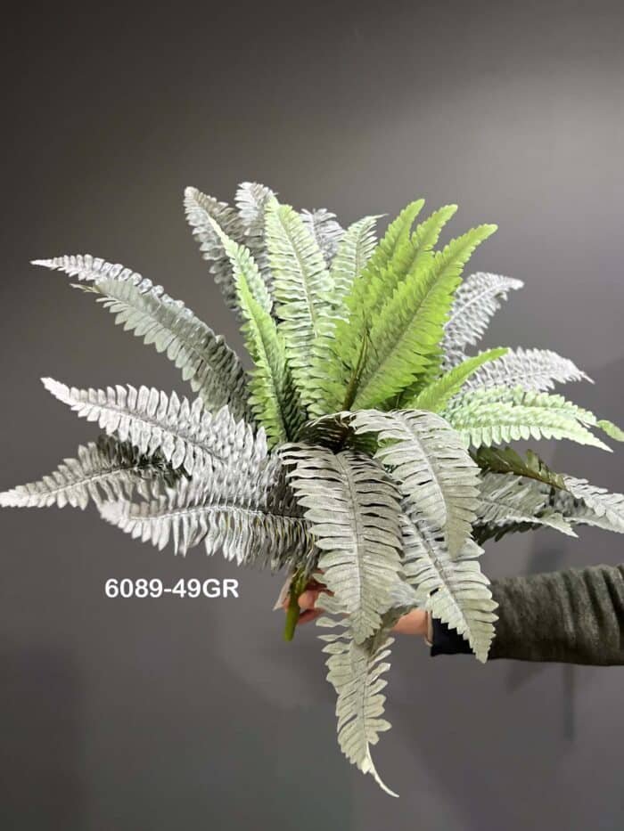 Fern leave – 6089-49