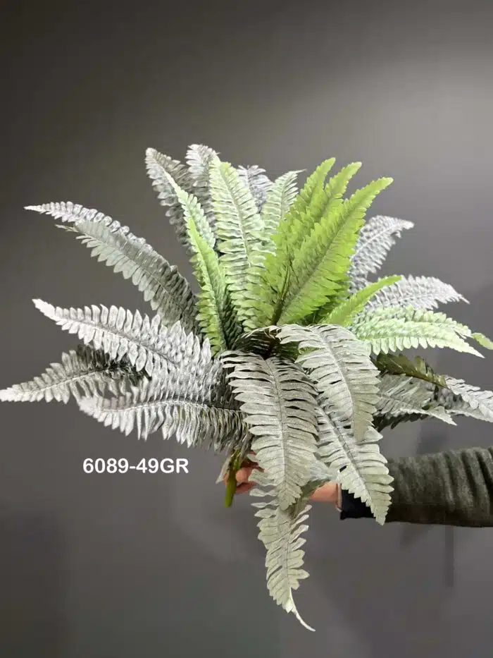 Fern leave – 6089-49