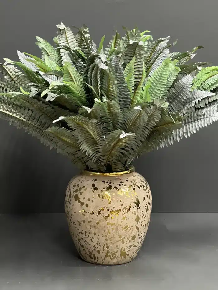 Fern leave – 6089-49