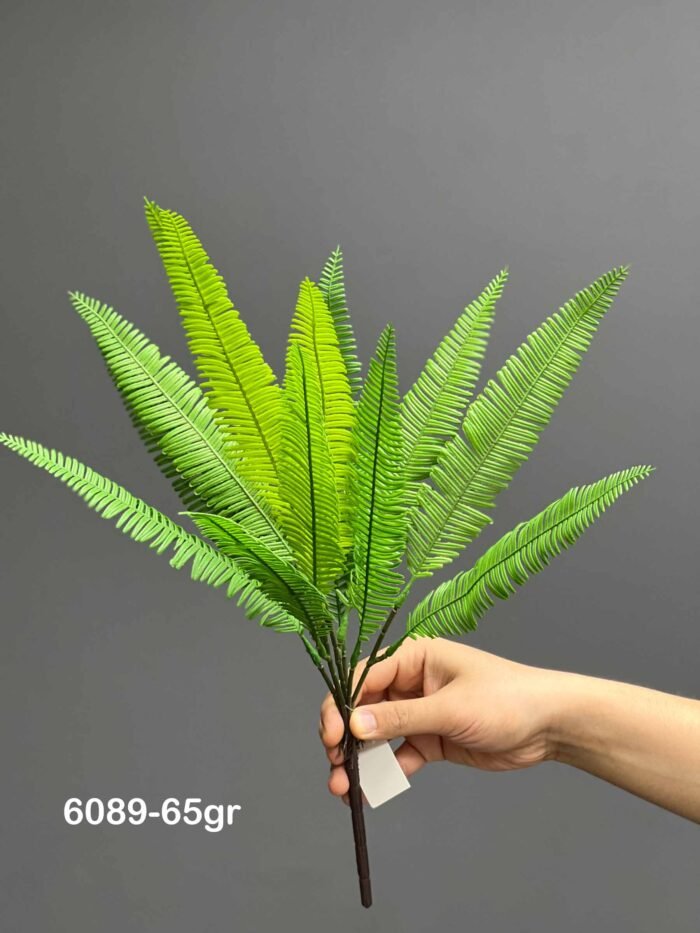 Fern – 6089-65
