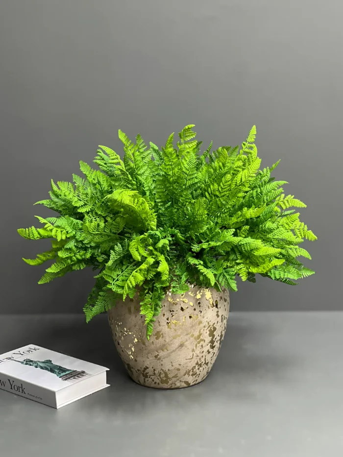 Fern – 6089-67