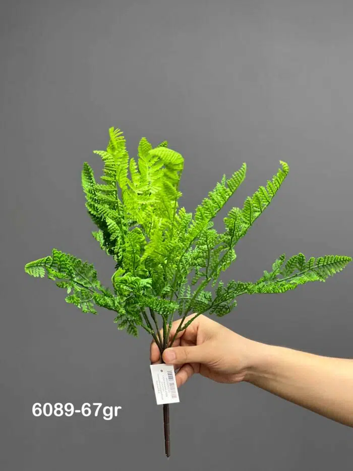 Fern – 6089-67