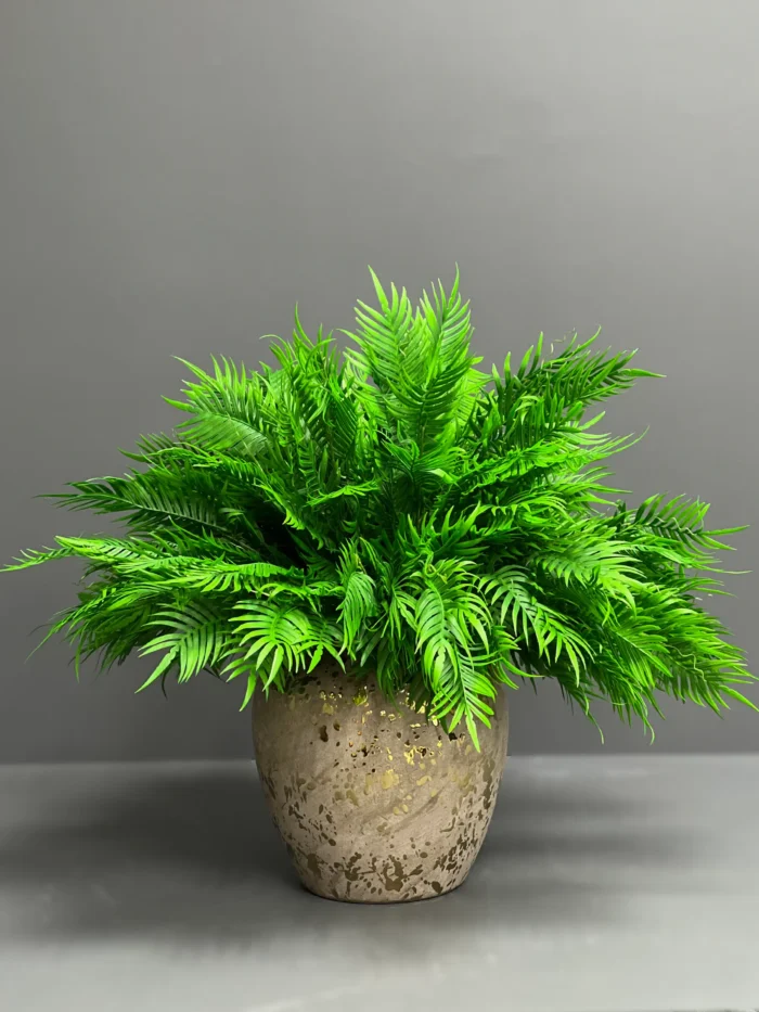 Fern – 6089-68