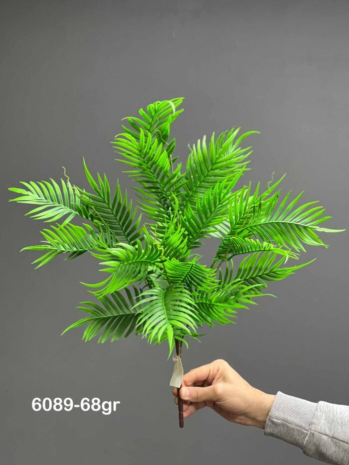 Fern – 6089-68