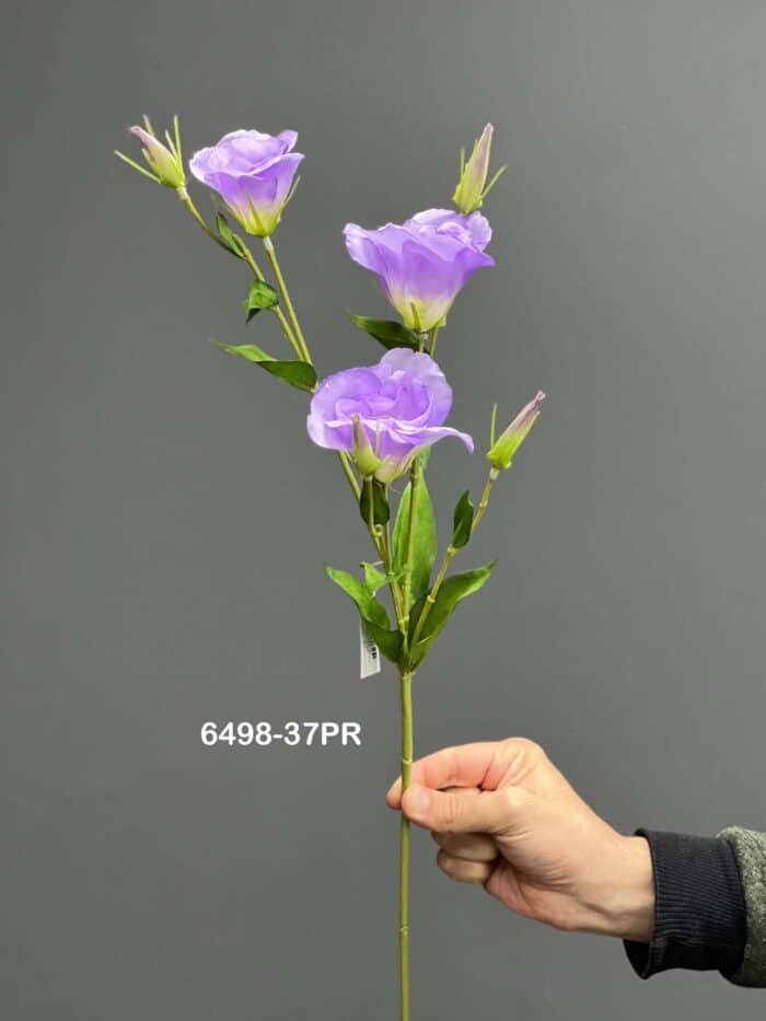 Lisianthus – 6498-37