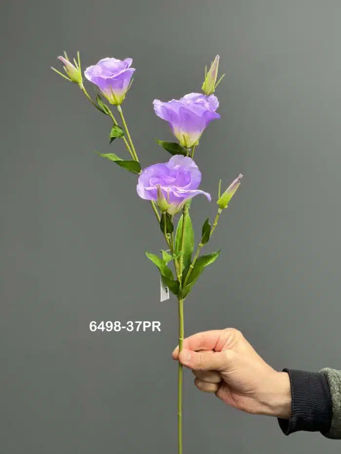 Lisianthus – 6498-37