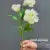 6498-39 white pink