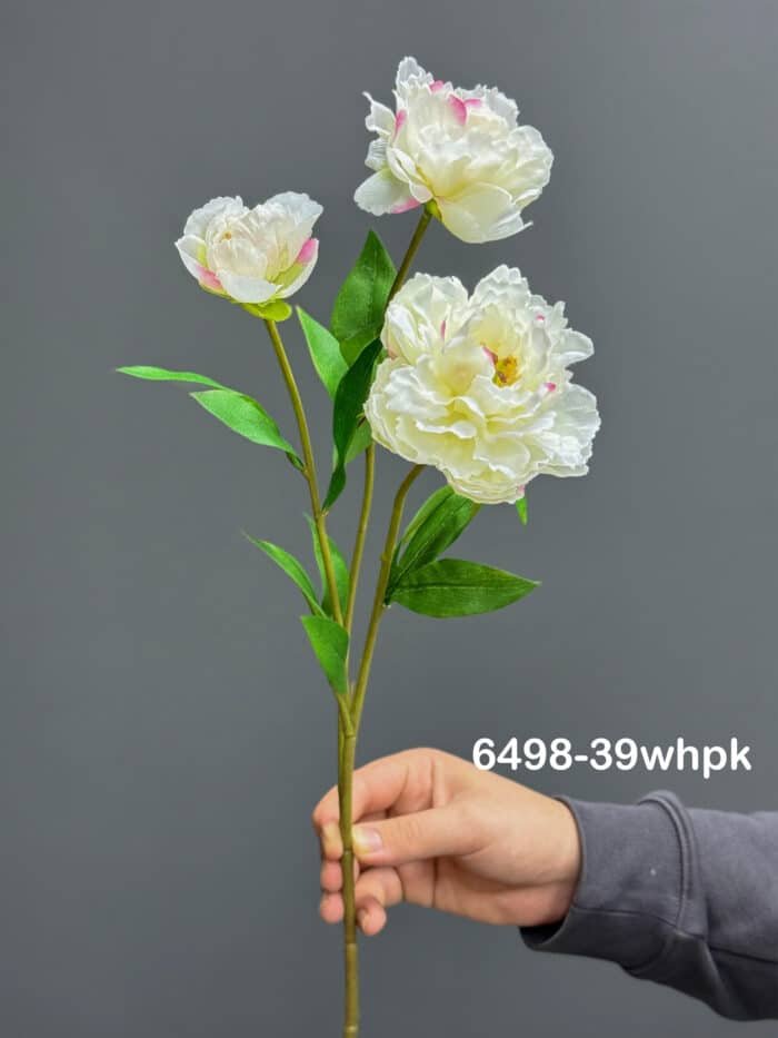 peony – 6498-39