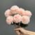 6579-1 Peach