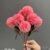 6579-1 fuchsia