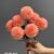 6579-1 orang