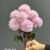 6579-1 pink
