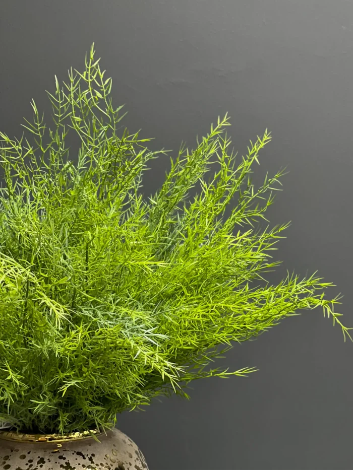 Greenery spray – 6757