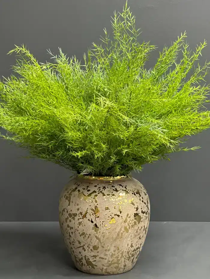 Greenery spray – 6757