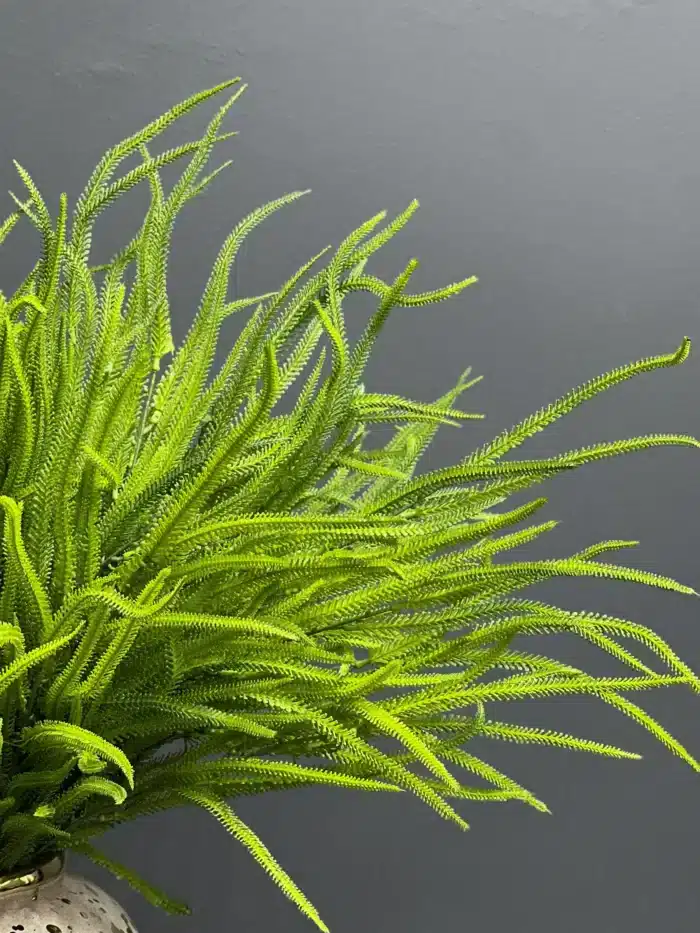Greenery spray – 6758