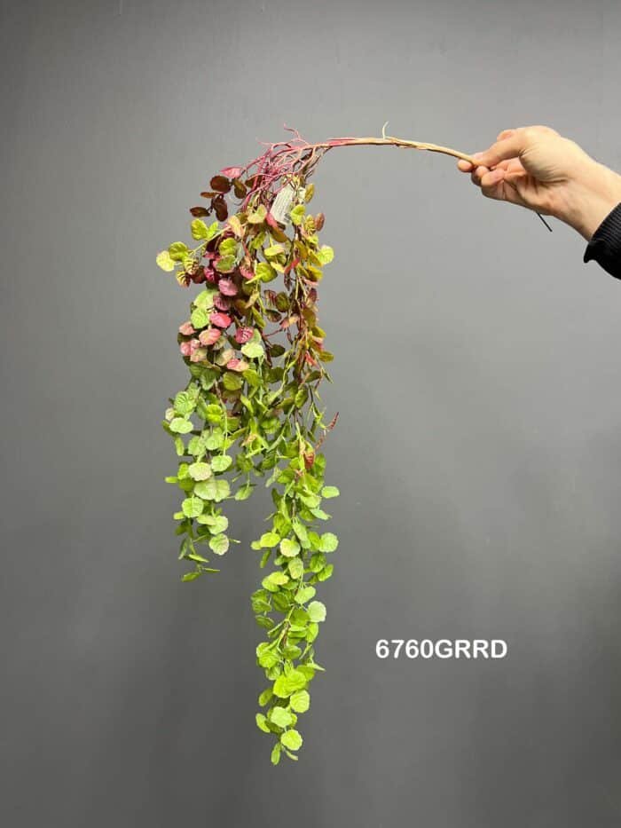 Hanging greenery – 6760