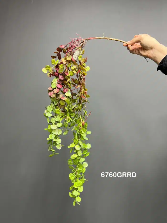 Hanging greenery – 6760