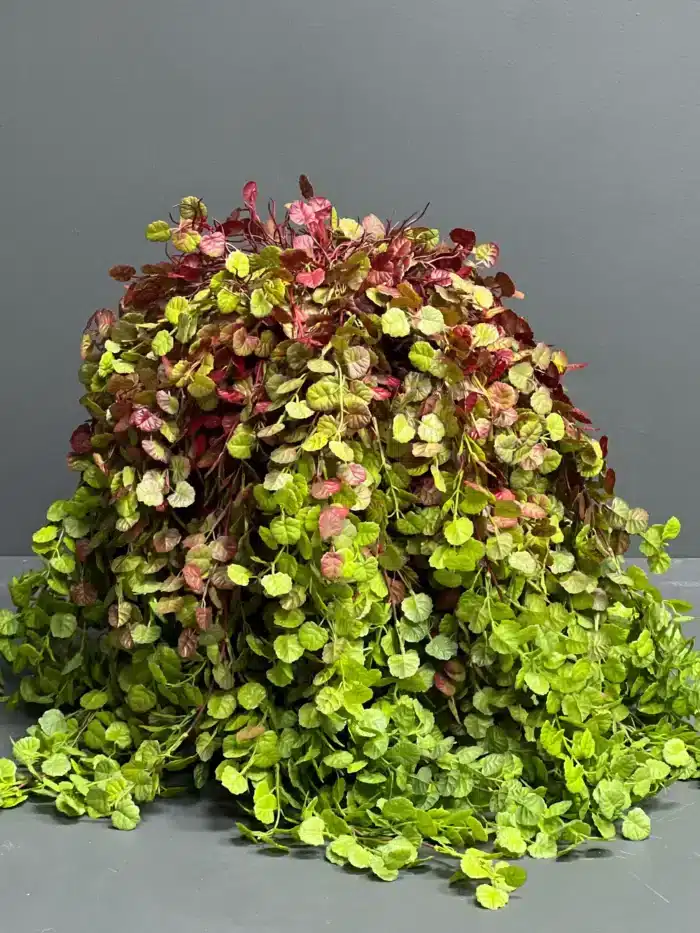 Hanging greenery – 6760