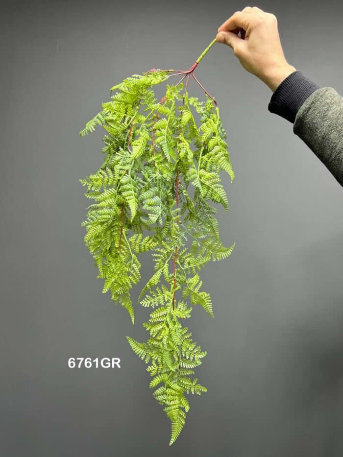 Hanging greenery – 6761
