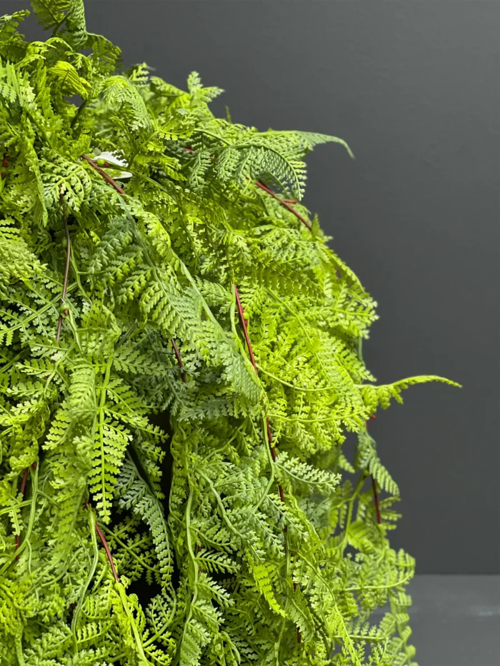 Hanging greenery – 6761