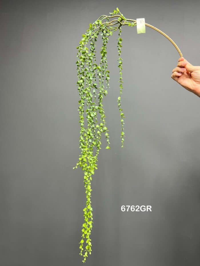 Hanging greenery – 6762