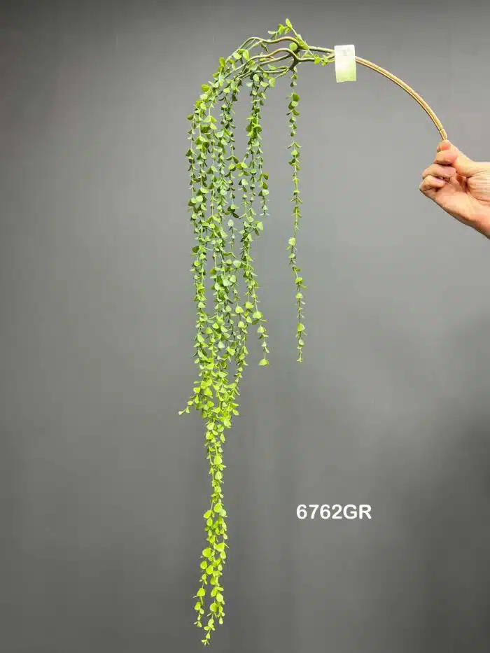 Hanging greenery – 6762