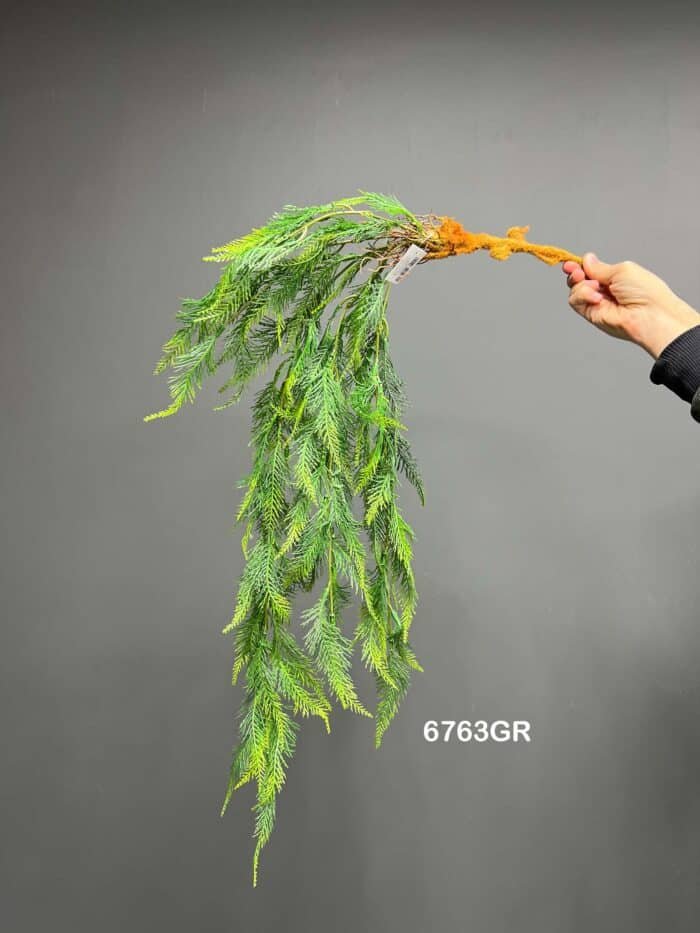 Hanging greenery – 6763