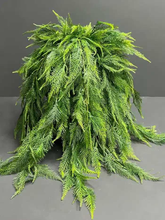 Hanging greenery – 6763