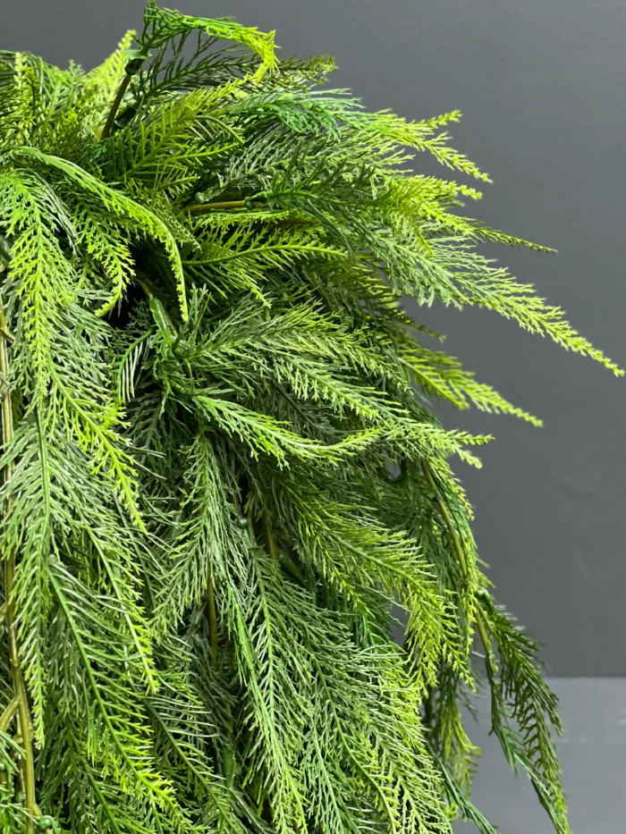 Hanging greenery – 6763