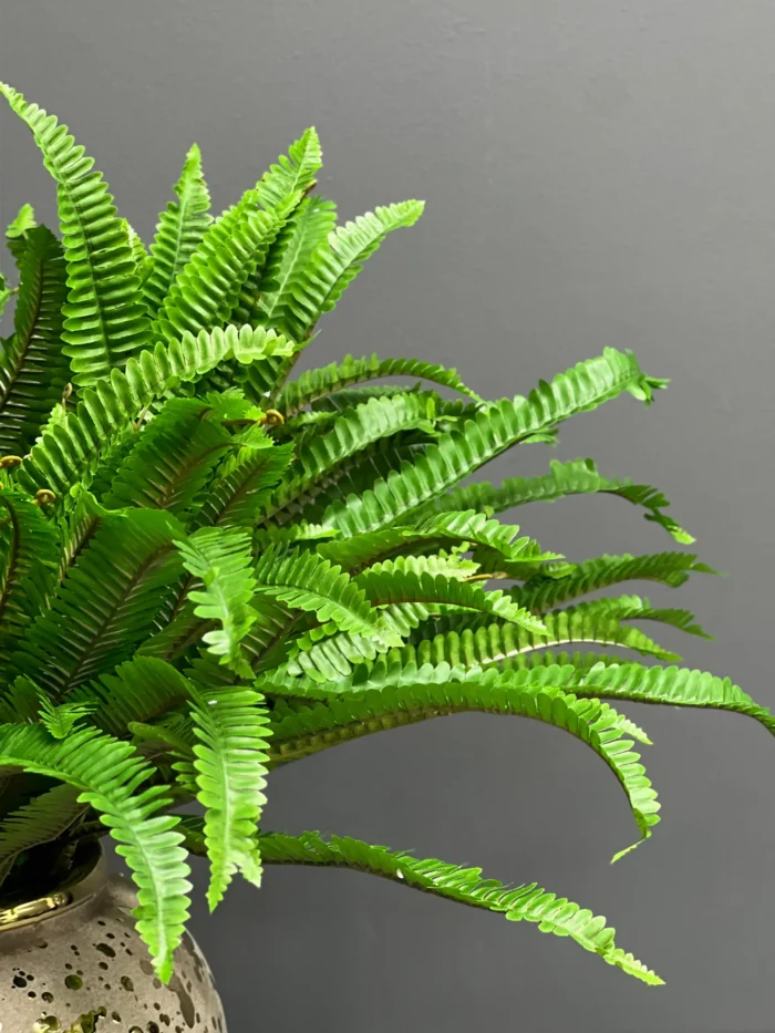 Greenery – 6803-5