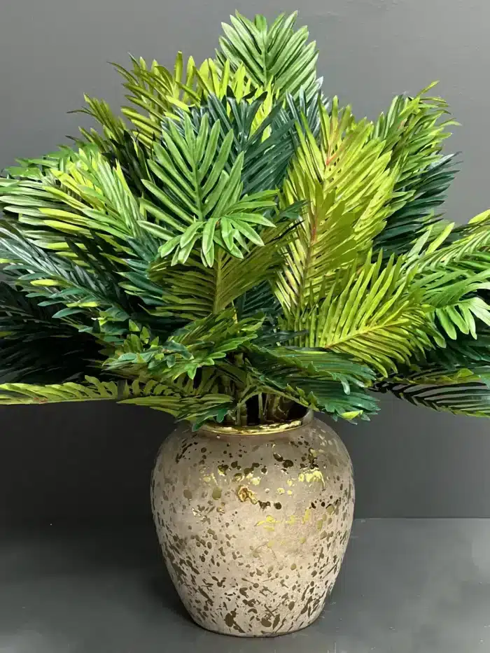 Palm leave bunches – 6804