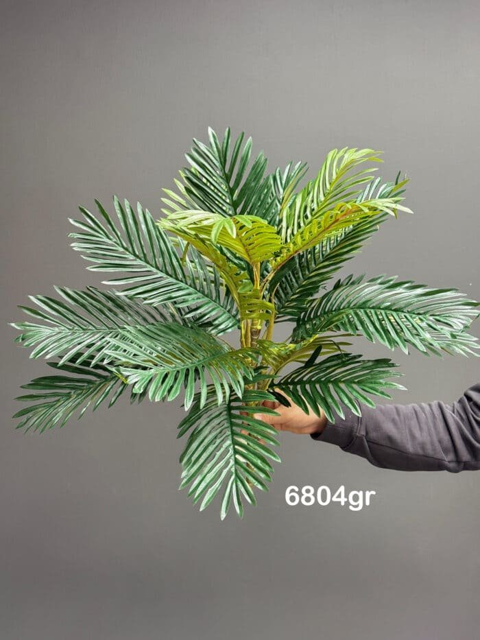 Palm leave bunches – 6804