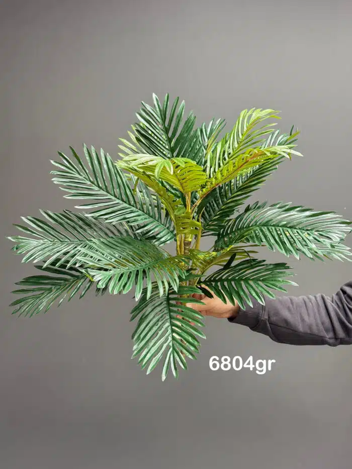 Palm leave bunches – 6804