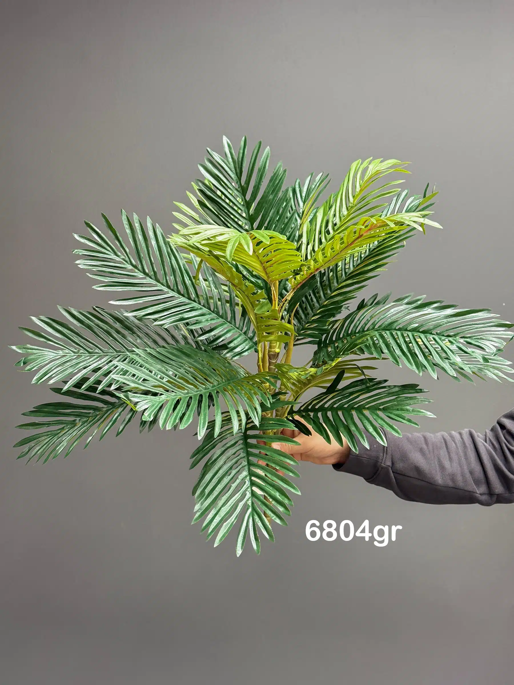 6804gr