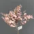 1020-70 Pink