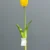 1284-2 Yellow
