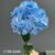 1740-36 Blue