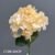 1740-36 Peach