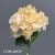1740-36 Peach