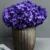 1740-36 Dark Purple