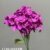 1740-36 Fuchsia Purple