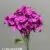 1740-36 Fuchsia Purple
