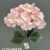 1740-36 Light Light Pink